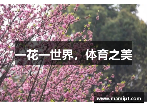 一花一世界，体育之美